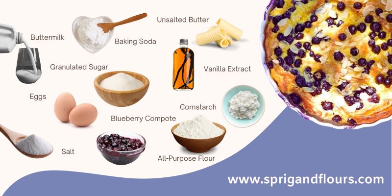 Ingredients for the Blueberry Custard Cake Infographic