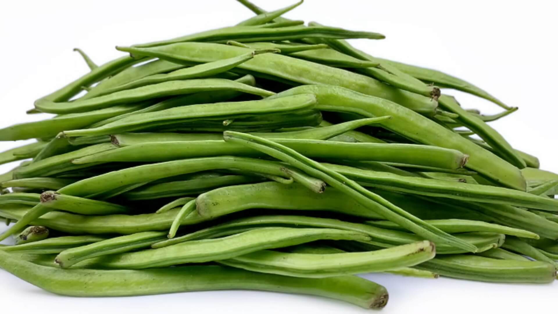 Guar Bean